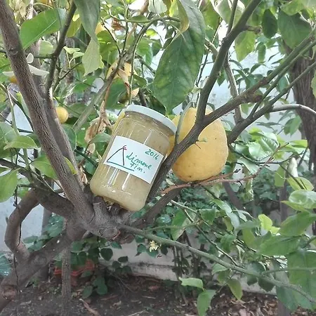 A' Riggiola Στρόμπολι