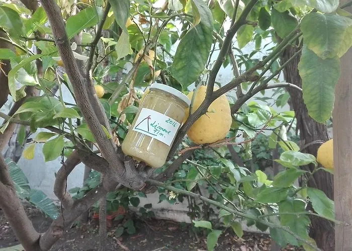 A' Riggiola 斯特龙博利